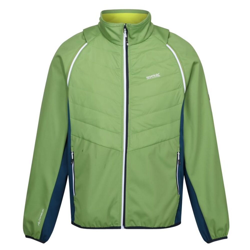 Regatta Mens Steren II Softshell Hybrid Jacket / Piquant Green/Moroccan Blue/Cit